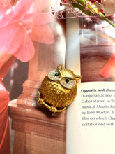 Load image into Gallery viewer, Vintage Owl brooch
