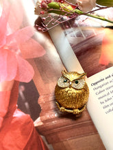 Load image into Gallery viewer, Vintage Owl brooch