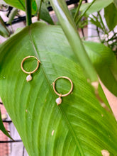 Load image into Gallery viewer, Maxi Lima Hoops With Amalfi Pearl Charms